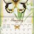 Butterflies-Lang kalender 2027 b