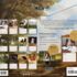Love of dogs-Lang kalender 2027 a