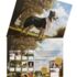 Love of dogs-Lang kalender 2027 h