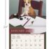 Love of dogs-Lang kalender 2027 m