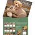 Puppy-Lang kalender 2027 h