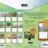 Songbirds-Lang kalender 2027 a