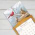Songbirds-Lang kalender 2027 l