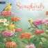 Songbirds-Lang kalender 2027