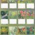 Hummingbirds-Lang kalender 2027 a