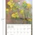 Hummingbirds-Lang kalender 2027 m