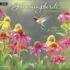 Hummingbirds-Lang kalender 2027