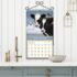 Cows Cows Cows-Lang kalender 2027 d