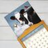 Cows Cows Cows-Lang kalender 2027 l