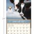 Cows Cows Cows-Lang kalender 2027 m