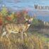 Wildlife Legacy kalender 2027