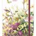 Janneke Brinkman week-agenda Helleborus