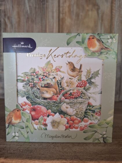 vierkant mand met vogels