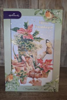 kerstster in gieter