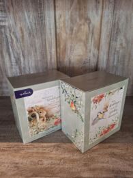 box konijntjes