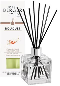 Maison Berger bouquet Cube - Petillance Exquise