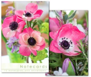 W155 Pink Anemone Close up