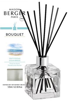 Maison Berger bouquet Cube - Vent d