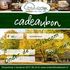 Onder de Lindeboom cadeaubon 20.