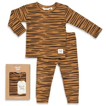 tiger taylor