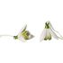 MiniFlower Bell Sneeuwklokje 2 delig