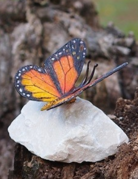 Beeld vlinder op natuursteen