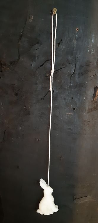 paashanger aan lont haas